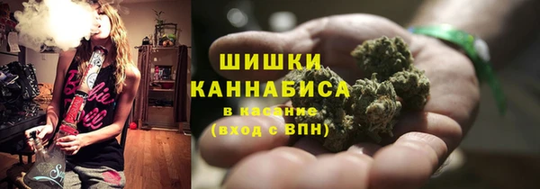 PSILOCYBIN Богородицк