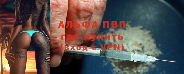 PSILOCYBIN Богородицк