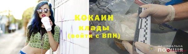 хмурый Сосновка