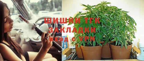 PSILOCYBIN Богородицк