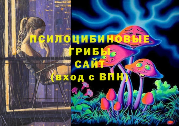 герыч Богородск