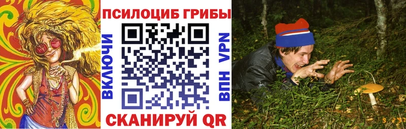 Галлюциногенные грибы GOLDEN TEACHER  цена   Михайлов 